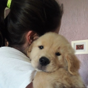 avatar Khikhikhi🙊