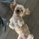 milly4