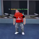 _shown_