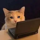 sikquiry