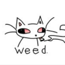 avatar Raycast [Noctyra]