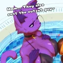 siri_capybara avatar