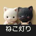 Yuki｜ねこと光の物語作家🤍🐈‍⬛のアイコン