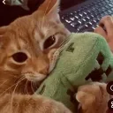 spookynsadie