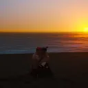 guindilla14_21