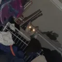cat_4872891