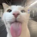 rivvvur