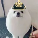 wishedcashew