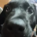 Аватар .saind.