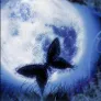 lostbutterfly92