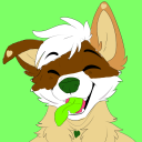 avatar cam aussieshep retriever pup