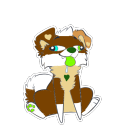 avatar cam aussieshep retriever pup