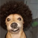 static.dll