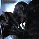 avatar ˙ ❀̼    𝗉𝗋𝖾𝖼𝗂𝗈𝗎𝗌