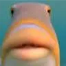 bigbigfish69