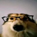 pandanorcan