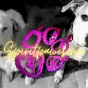 spiritpawesome