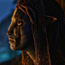 avatar catless cat lover