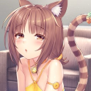 avatar ◝(ᵔᗜᵔ)◜