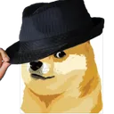 thefancydoge8941