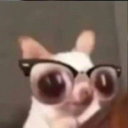 avatar a a a