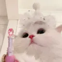 fayecute