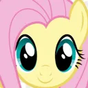 shydash_