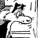 wolfbarnes