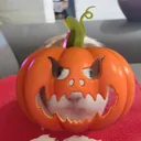 guineapig7