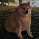 r_mylyy_hlopchyk#2761's avatar