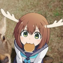 avatar socksism
