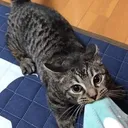 sszchxz