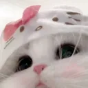taqiematter94