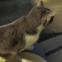 avatar ✾ Multivitaminsaft ✾