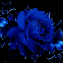 mr_gardena