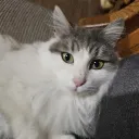 thev1sitor_