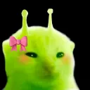 notswimsy