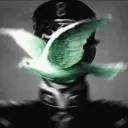 lichofcap