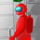 kaitom5583