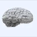 legobrains