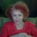 dammnovel