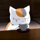 shao017