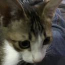 dins_theoneandonly's avatar