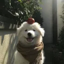 _0smile0_