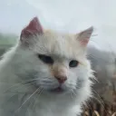 doudydouda
