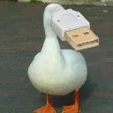 jay.2566