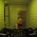 nachitofm