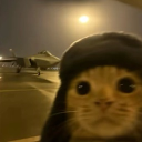 avatar ༻𓆩.ꌚꈼꋊ.𓆪༺