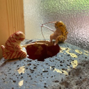 avatar ༻𓆩.ꌚꈼꋊ.𓆪༺