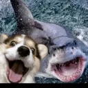 laughingx7